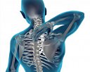 Singapore Bone and Joint Clinic Pte Ltd Photos